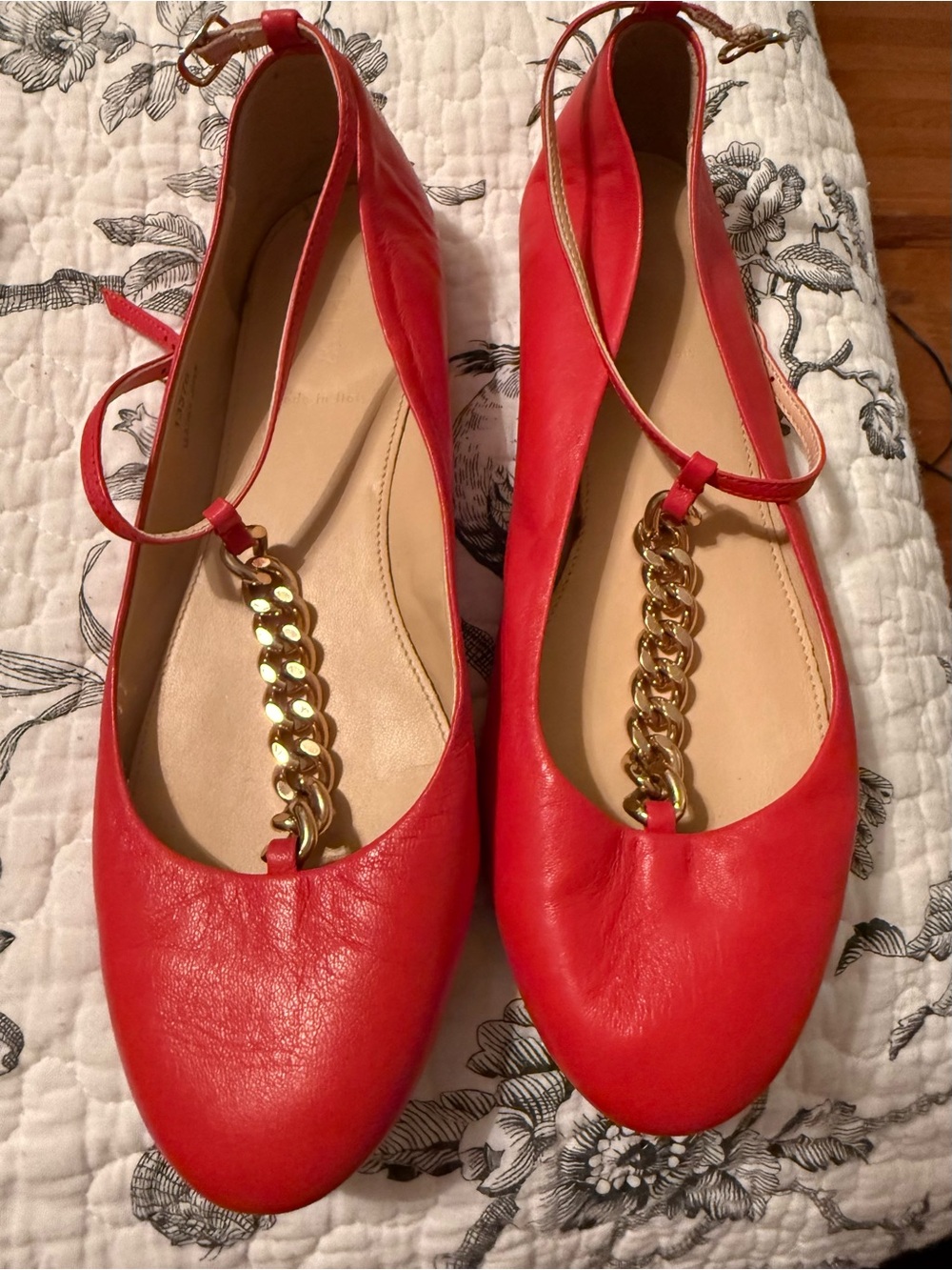 J crew poppy chain ankle strap 
Flats